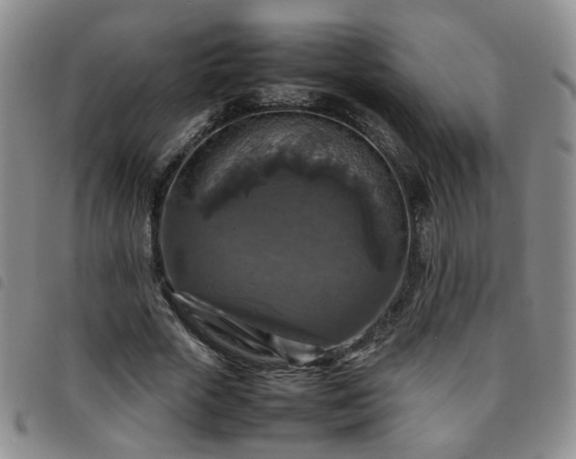 X0000097780729200803141807