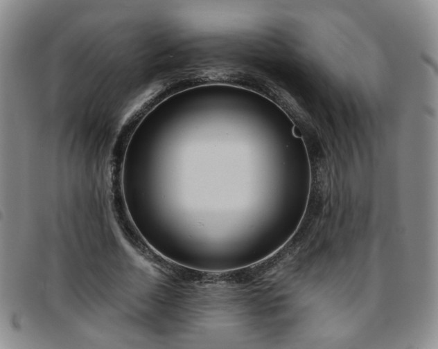 X0000097780730200803141807