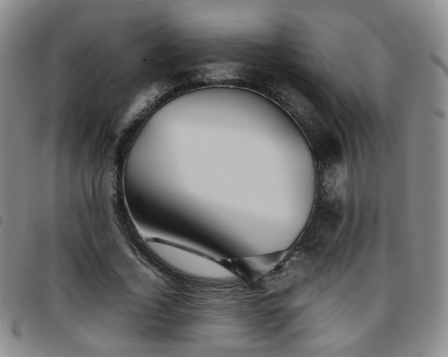 X0000097780732200803141807