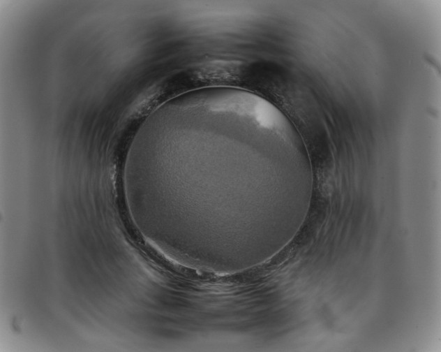 X0000097780735200803141807