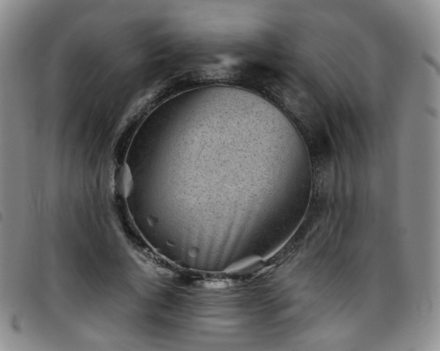 X0000097780736200803141807