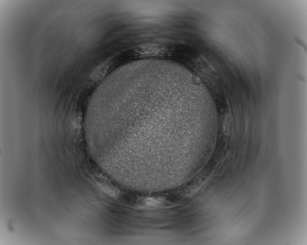 X0000097780737200803141807