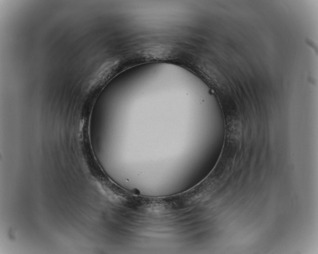 X0000097780738200803141807