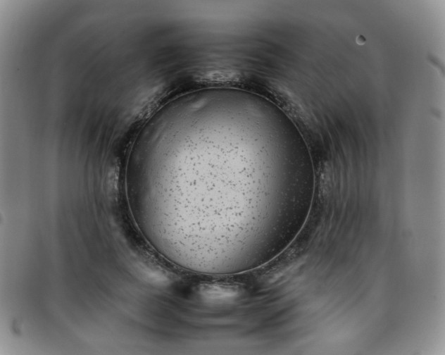 X0000097780739200803141807