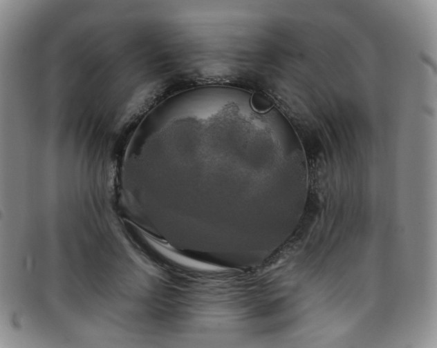 X0000097780742200803141807