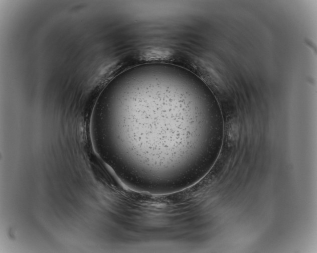 X0000097780743200803141807