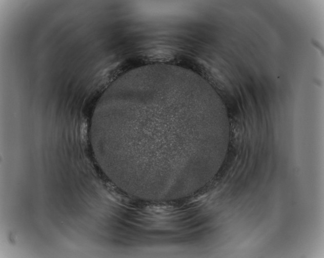 X0000097780745200803141807