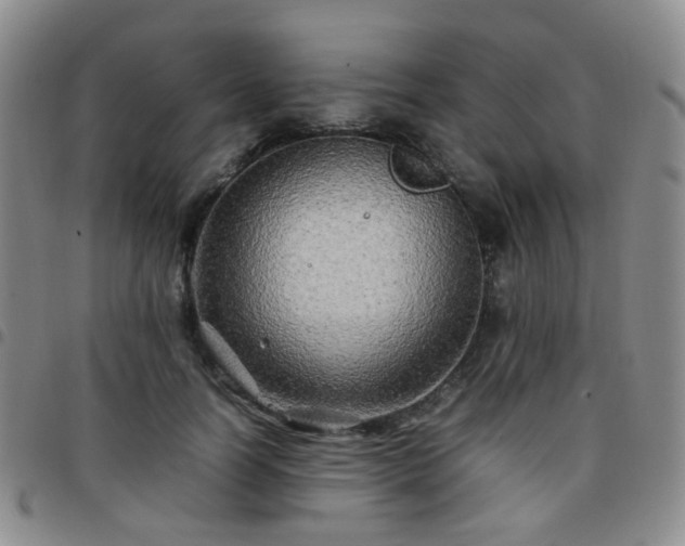 X0000097780746200803141807