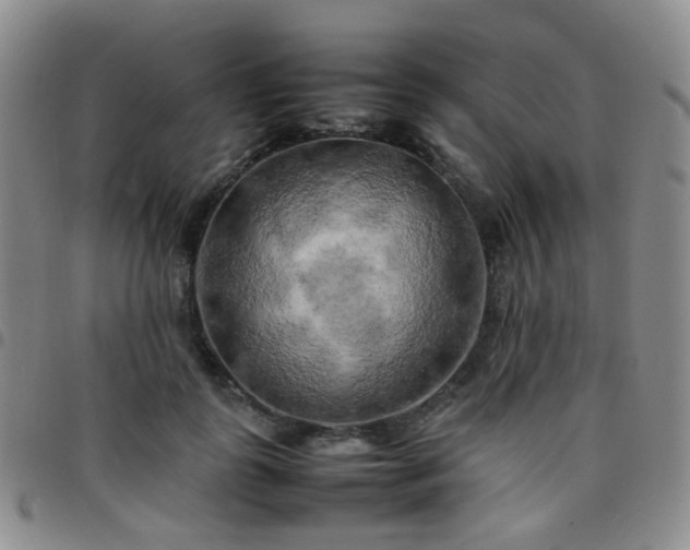 X0000097780747200803141807