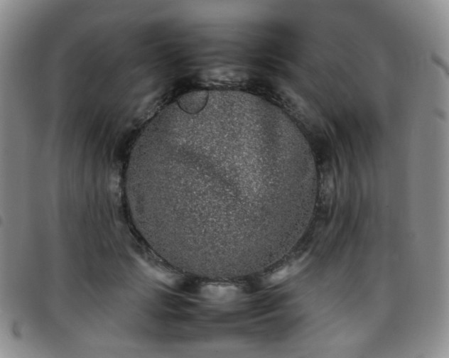 X0000097780749200803141807