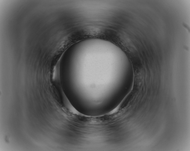 X0000097780750200803141807