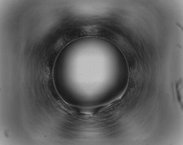 X0000097780752200803141807