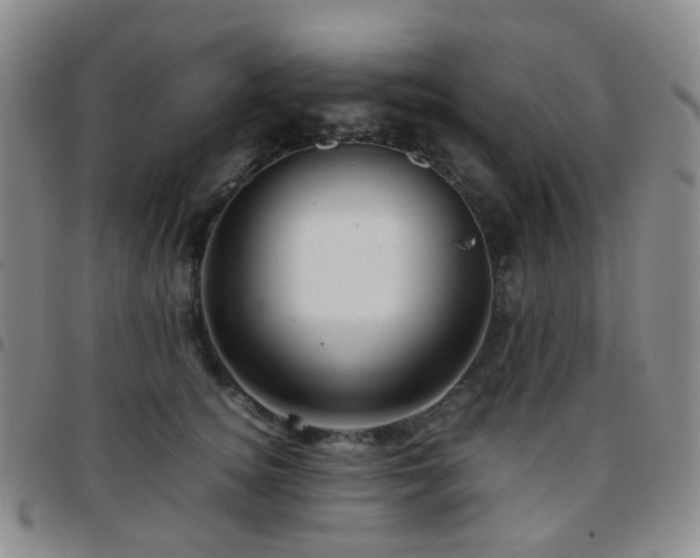 X0000097780756200803141808