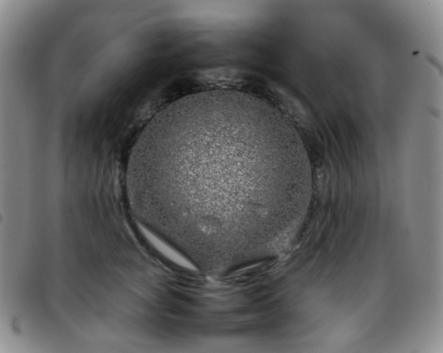 X0000097780757200803141808