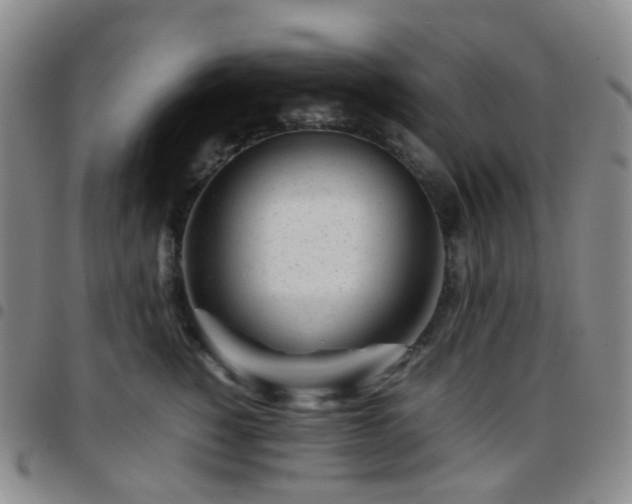 X0000097780760200803141808