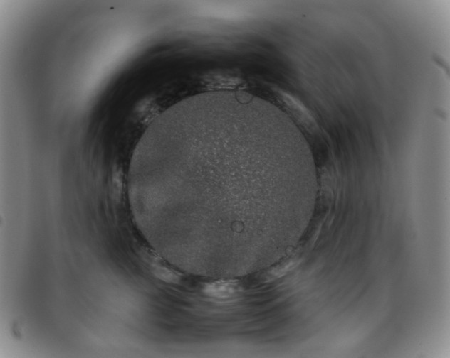 X0000097780761200803141808