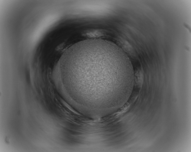 X0000097780762200803141808