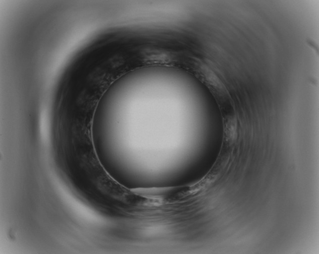 X0000097780764200803141808