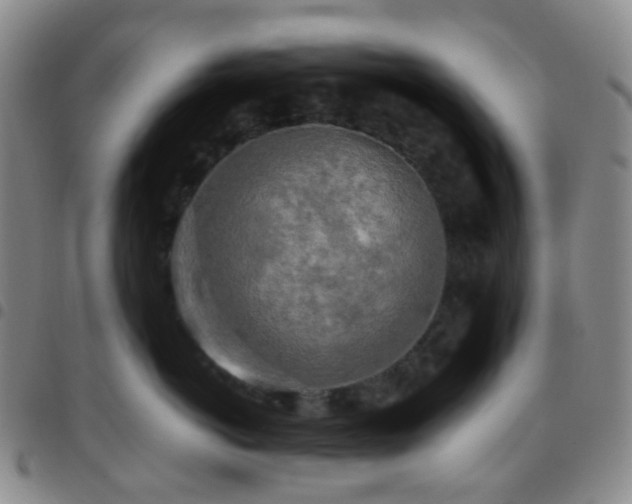 X0000097780766200803141808