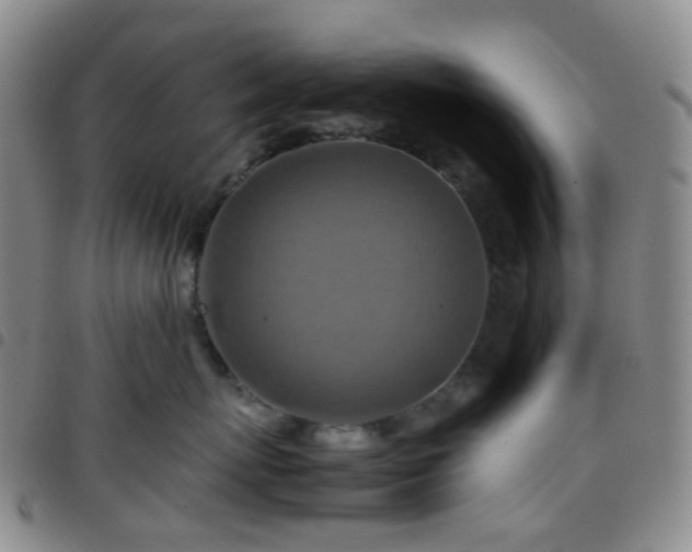 X0000097780767200803141808