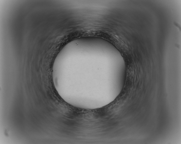 X0000097780769200803141807