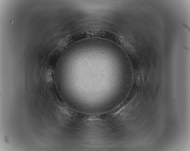 X0000097780770200803141807