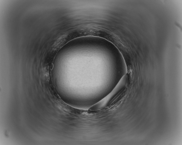 X0000097780771200803141807