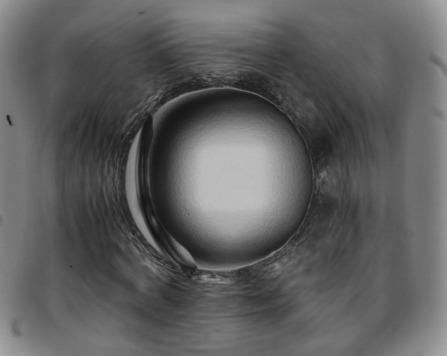 X0000097780772200803141807