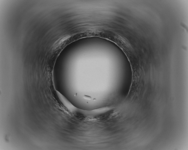 X0000097780773200803141807