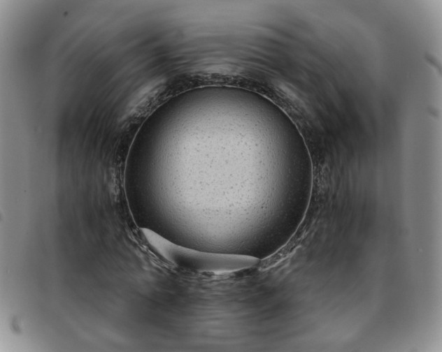 X0000097780774200803141807