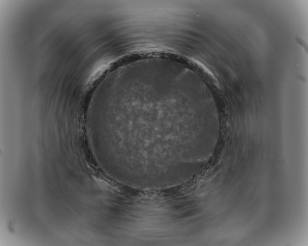 X0000097780775200803141807