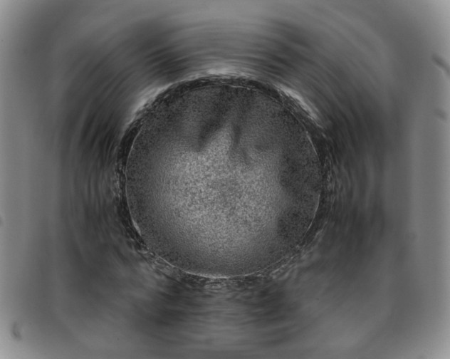 X0000097780776200803141807