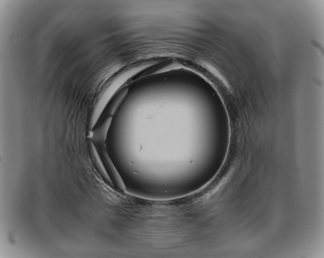 X0000097780777200803141807