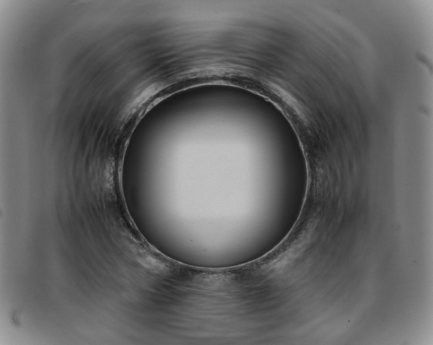 X0000097780778200803141807