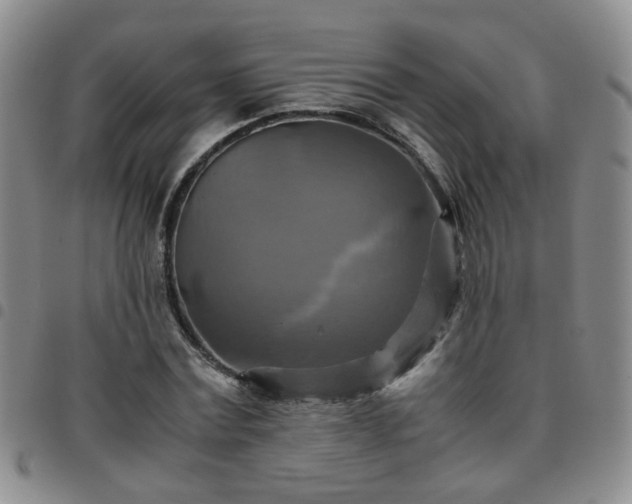 X0000097780779200803141807