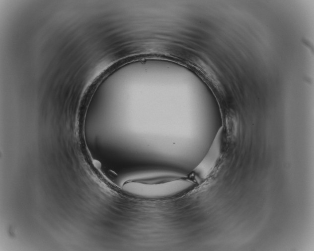 X0000097780780200803141807