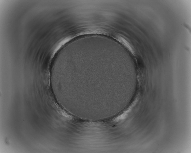 X0000097780781200803141807