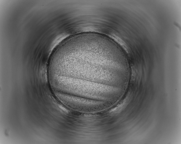 X0000097780782200803141807