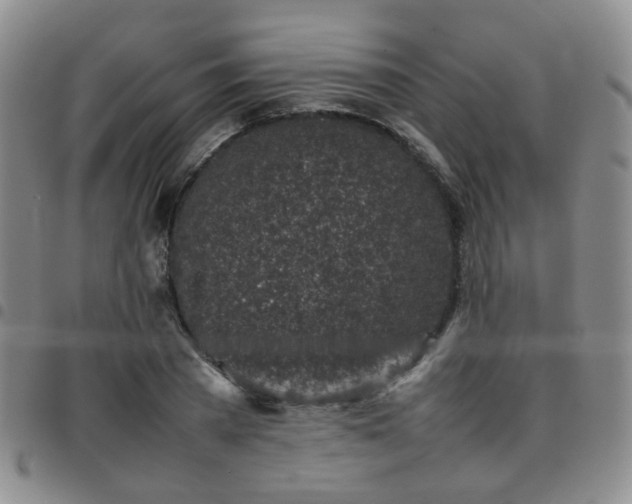 X0000097780785200803141807