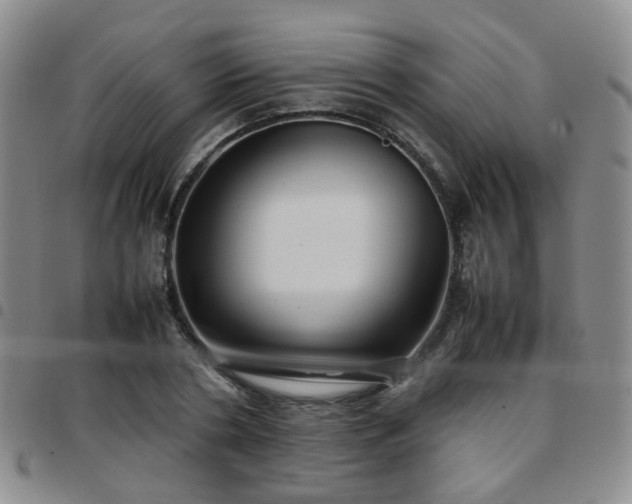 X0000097780786200803141807