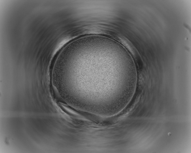 X0000097780787200803141807