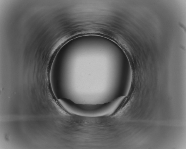 X0000097780789200803141807