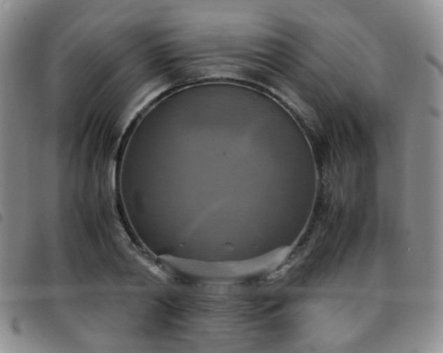 X0000097780790200803141807