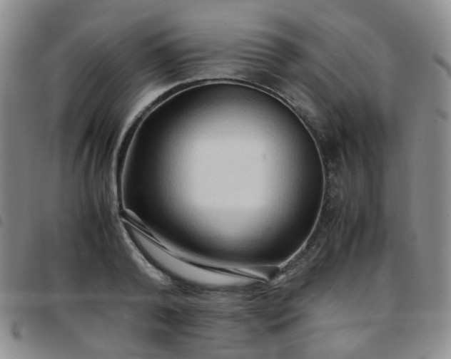 X0000097780792200803141807