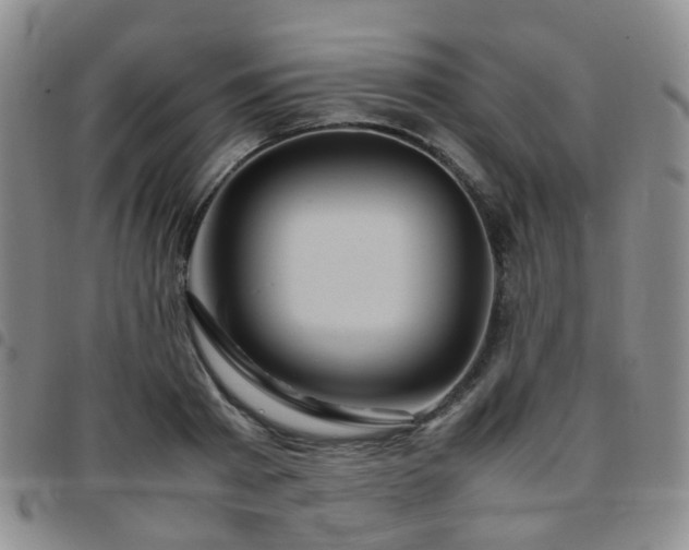 X0000097780793200803141807