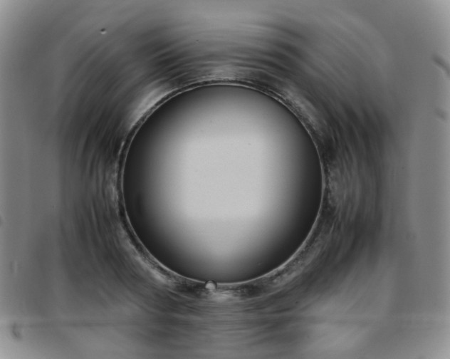 X0000097780794200803141807