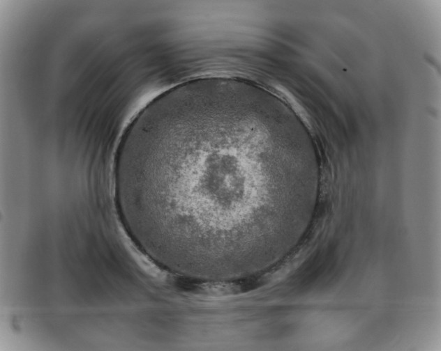 X0000097780795200803141807