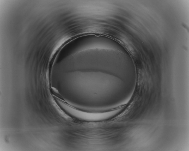 X0000097780796200803141807