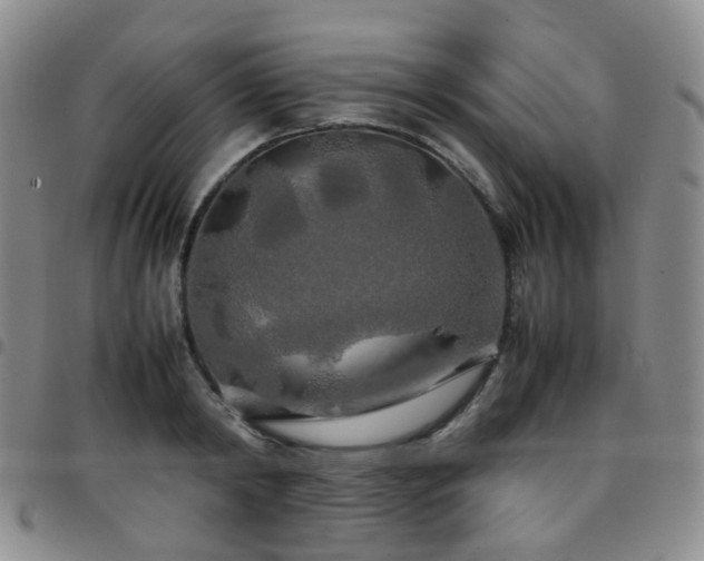 X0000097780798200803141807