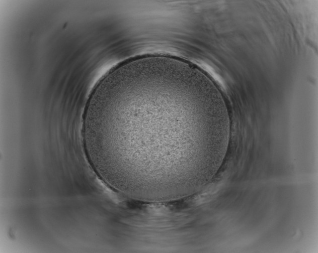 X0000097780799200803141807